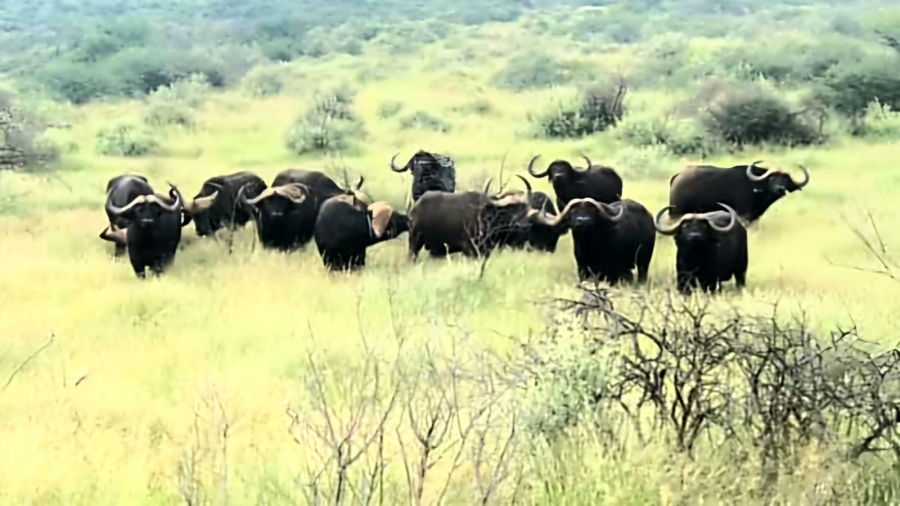 Commercial Property for Sale in Barkly West Rural Northern Cape